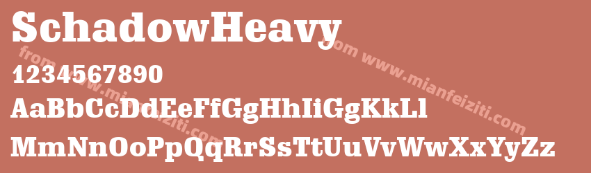 Schadow Heavy Regular预览图1