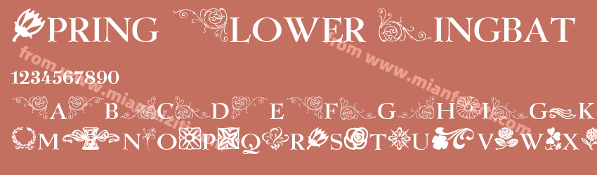Spring Flower Dingbats预览图1