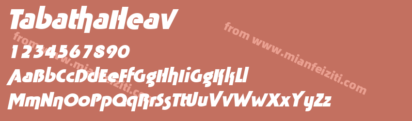Tabatha Heavy Italique预览图1