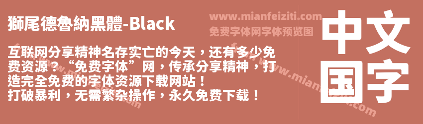 獅尾德魯納黑體-Black预览图1
