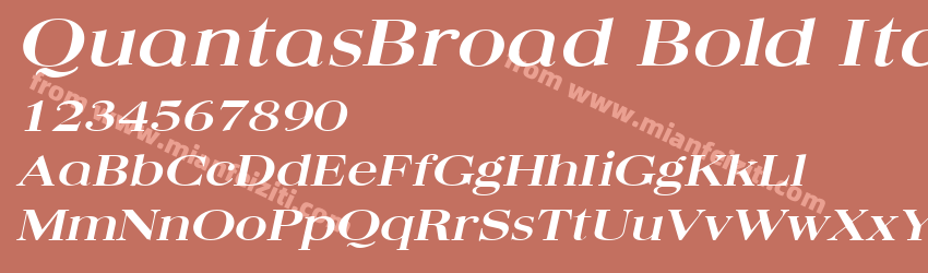 Quantas Broad Bold Italic预览图1