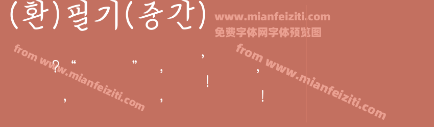 (환)필기(중간)预览图1