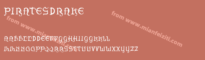 Pirates Drake预览图1