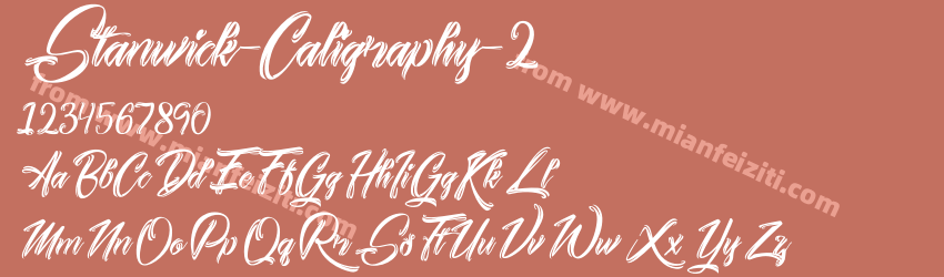 Stanwick Caligraphy 2预览图1