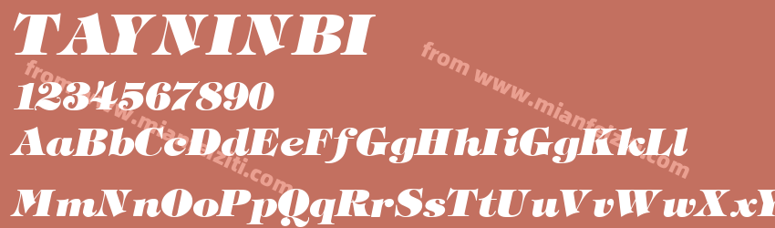Tayninh Bold Italic预览图1