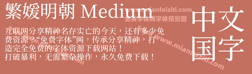 繁媛明朝 Medium预览图1