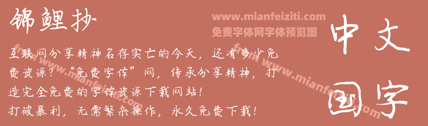 锦鲤抄预览图1