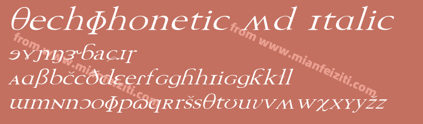 Tech Phonetic Wd Italic预览图1
