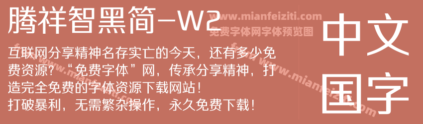 腾祥智黑简-W2预览图1