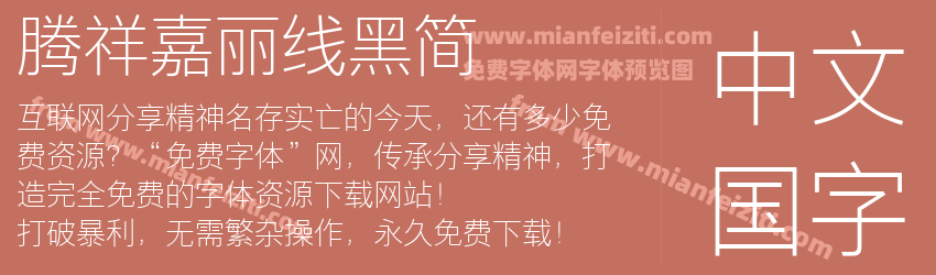 腾祥嘉丽线黑简预览图1