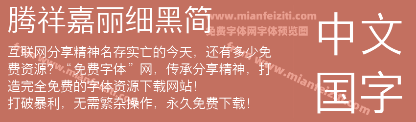 腾祥嘉丽细黑简预览图1