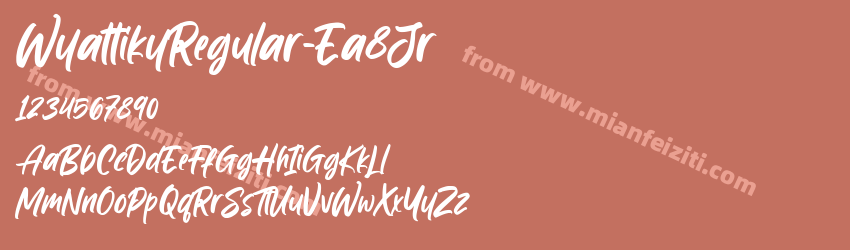Wyattiky Regular Ea8 Jr预览图1