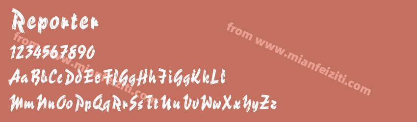 Reporter Regular预览图1