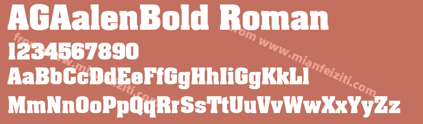 AG Aalen Bold Roman预览图1