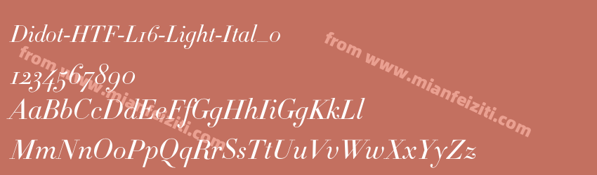 Didot-HTF-L16-Light-Ital_0预览图1