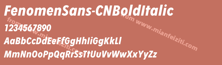 ☞ Fenomen Sans CN Bold Italic预览图1