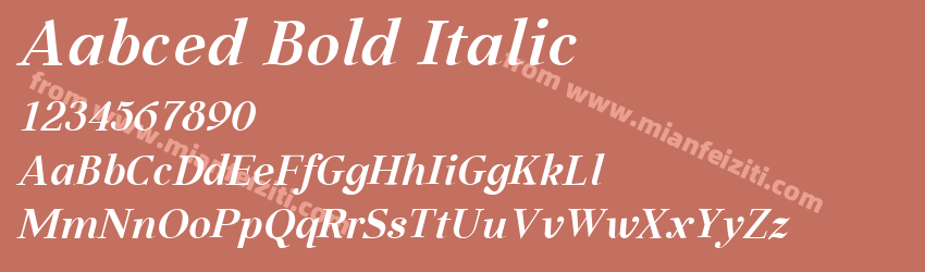 Aabced Bold Italic预览图1