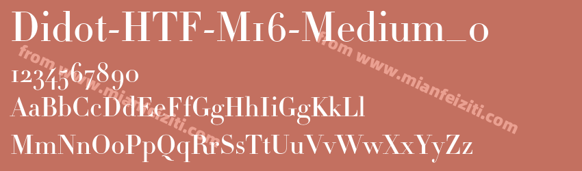 Didot-HTF-M16-Medium_0预览图1