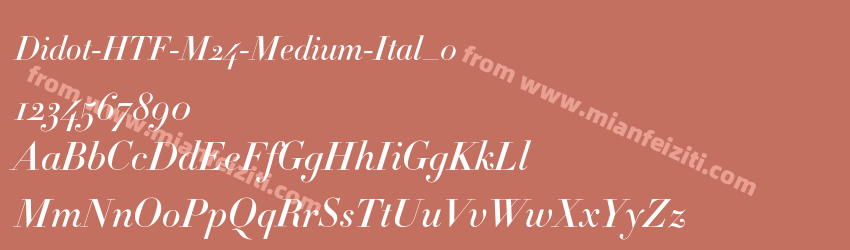 Didot-HTF-M24-Medium-Ital_0预览图1