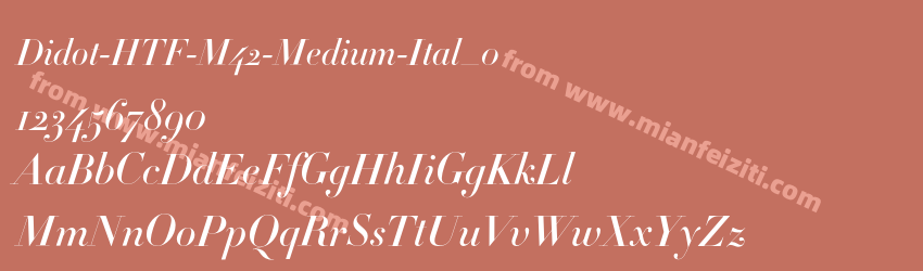 Didot-HTF-M42-Medium-Ital_0预览图1