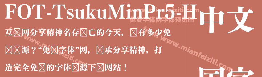 FOT Tsuku Min Pr5 H预览图1