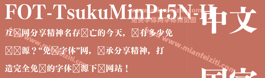 FOT Tsuku Min Pr5N H预览图1