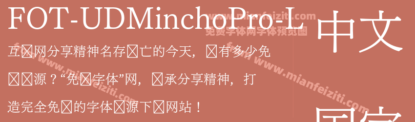 FOT UD Mincho Pro L预览图1