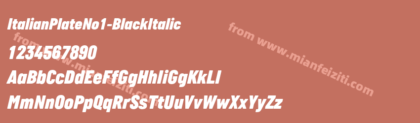 Italian Plate No1 Black Italic预览图1