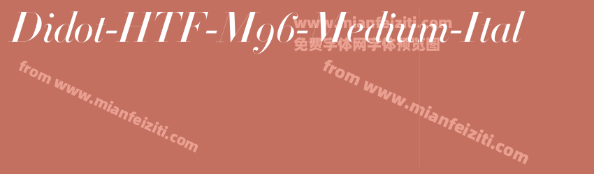 Didot HTF M96 Medium Ital预览图1
