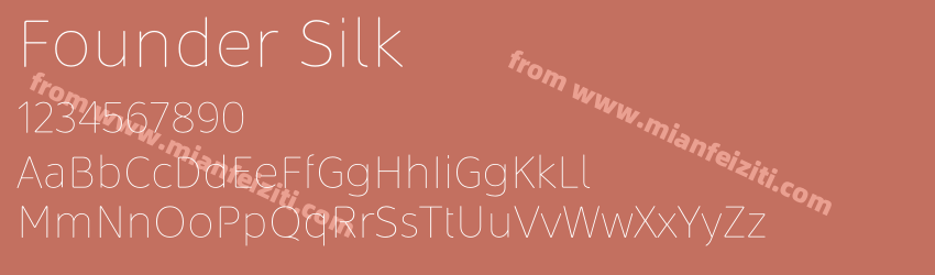 Founder Silk预览图1