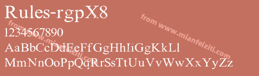 Rules rgpX8预览图1