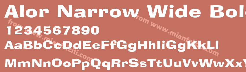 Alor Narrow Wide Bold预览图1