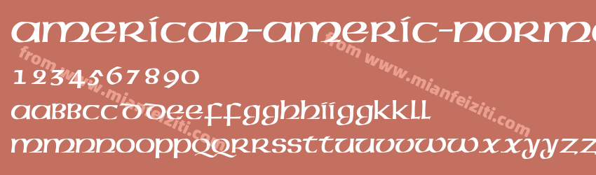 American Americ Normal预览图1