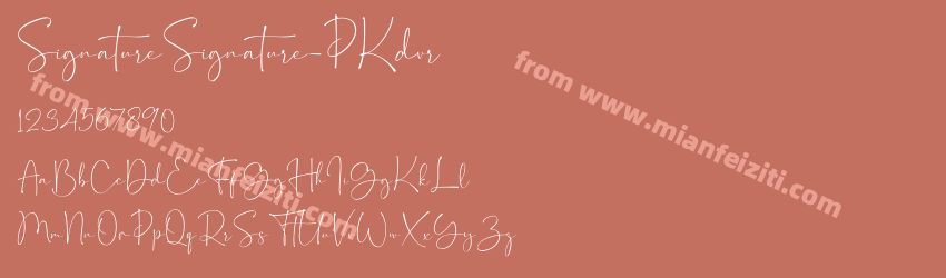 Signature Signature P Kdvr预览图1