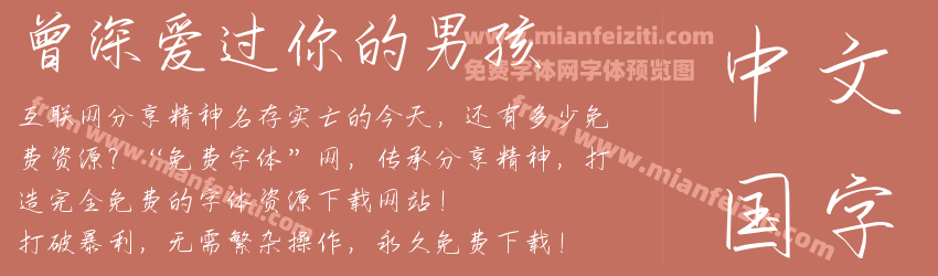 曾深爱过你的男孩预览图1