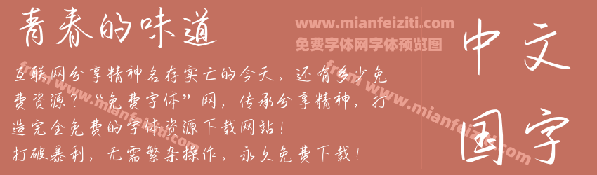 青春的味道预览图1