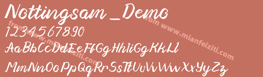 Nottingsam_ Demo预览图1