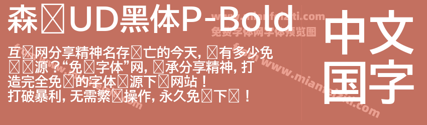 森泽UD黑体P-Bold字体预览