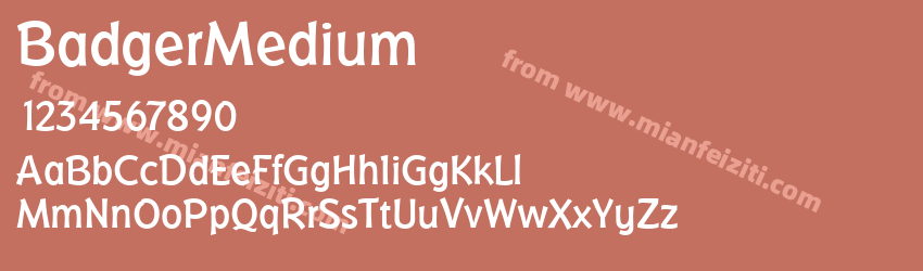 Badger Medium预览图1