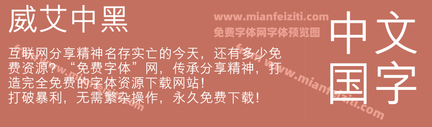 威艾中黑预览图1
