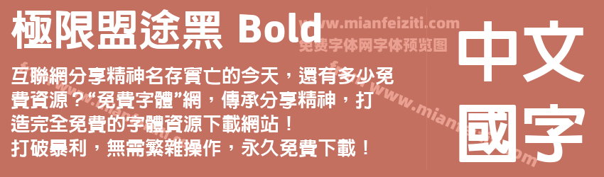 极限盟途黑 Bold预览图1