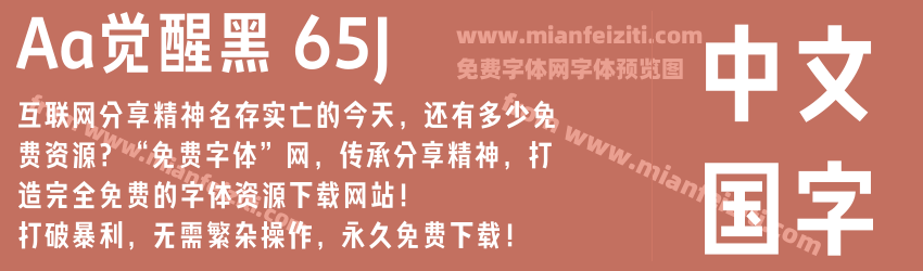 Aa觉醒黑 65J预览图1