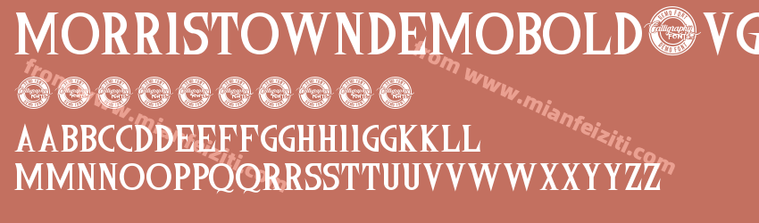 MorristownDemoBold-VGoJZ字体预览