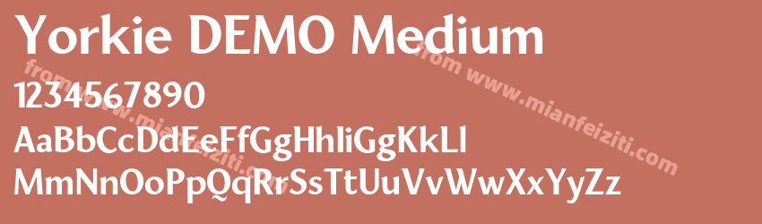 Yorkie DEMO Medium预览图1