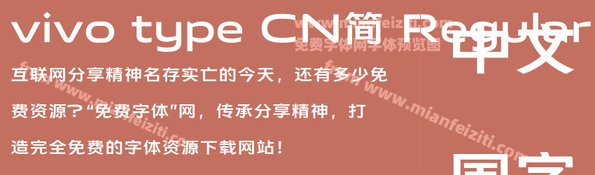 vivo type CN简 Regular字体预览
