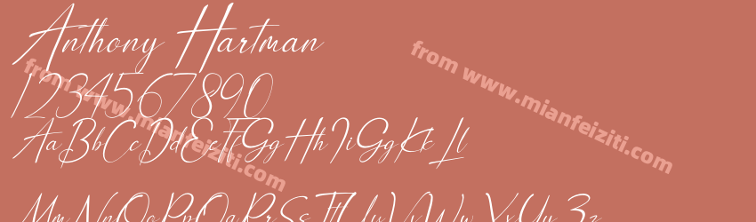 Anthony Hartman Italic预览图1