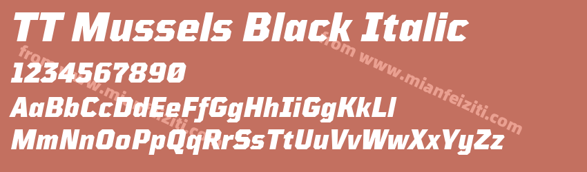 TT Mussels Black Italic字体预览
