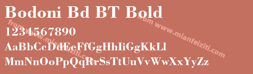 Bodoni Bd BT Bold预览图1
