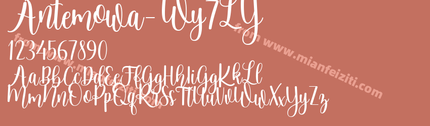 Antemowa Wy7LY预览图1
