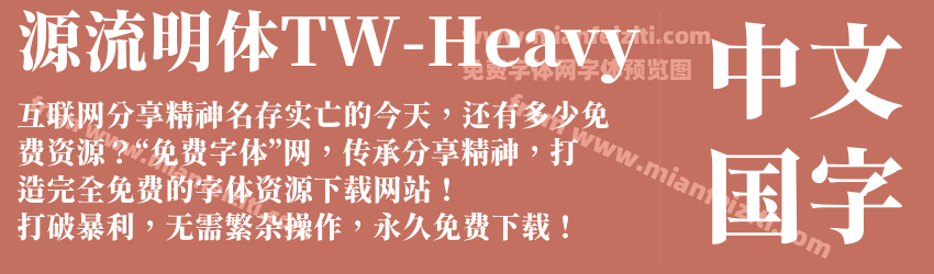 源流明体TW-Heavy预览图1